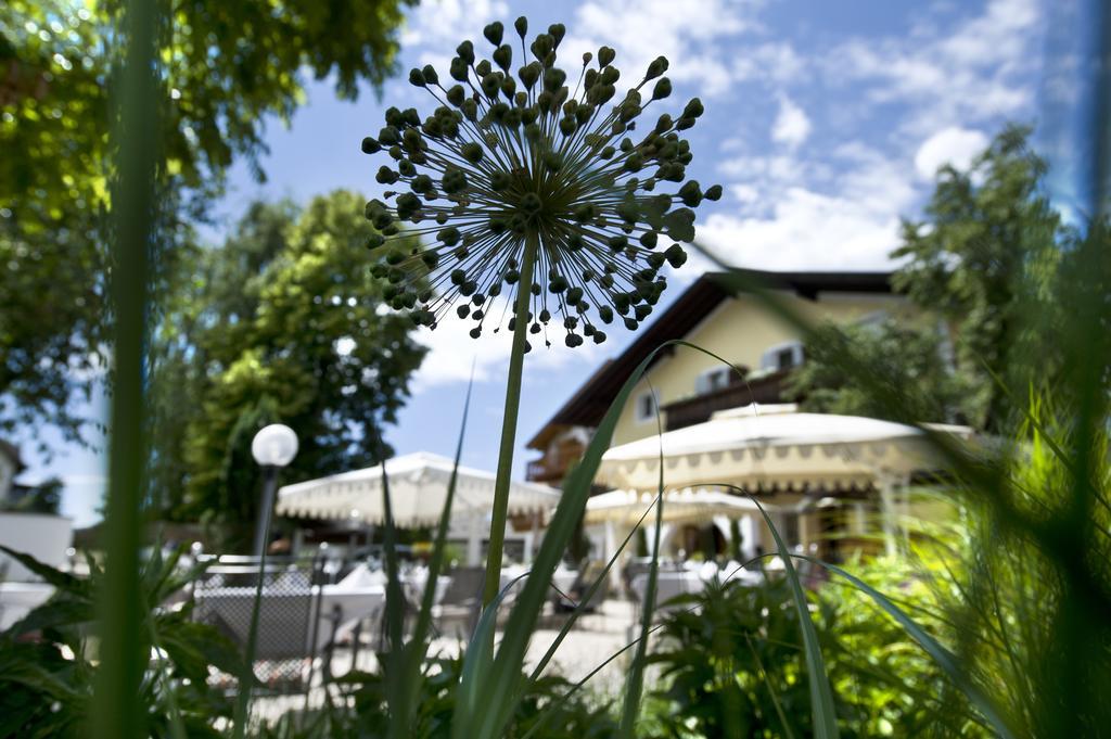 Gartenhotel Völser Hof - Adults Only Fiè Buitenkant foto